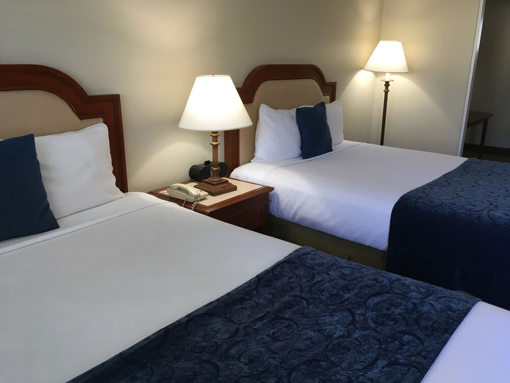 La Avenida Inn - photo 13