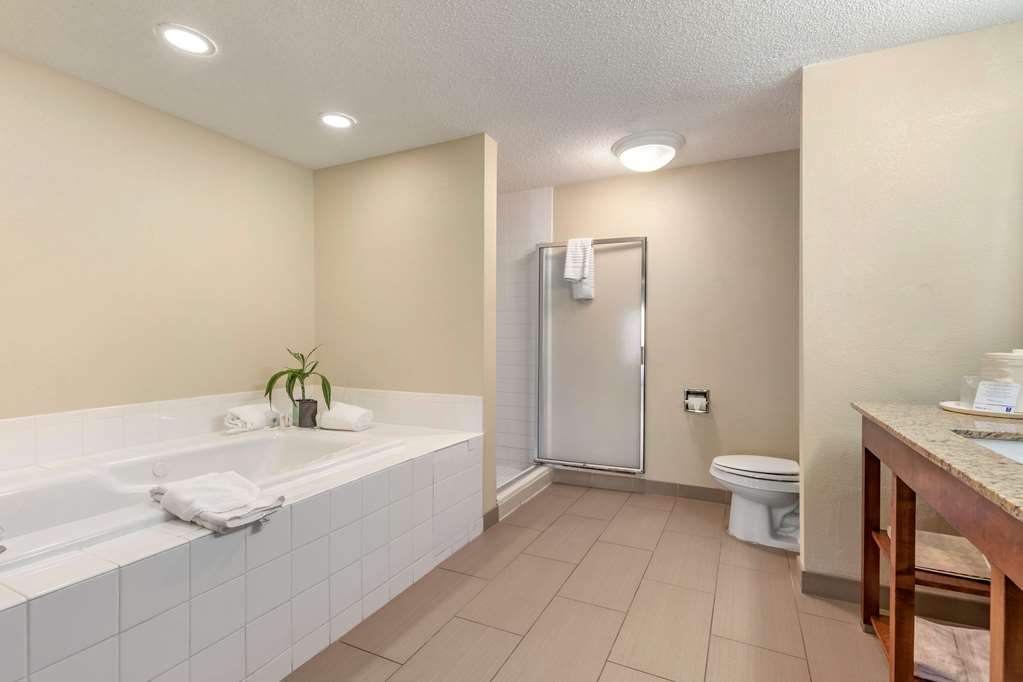 Comfort Inn Blythewood North Columbia - photo 15