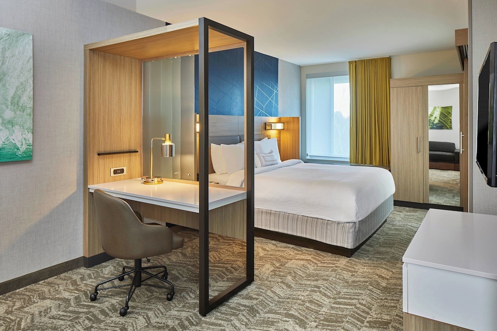 SpringHill Suites by Marriott Charlotte at Carowinds - photo 8