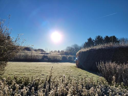 Parkhoeve Glamping — Tessenderlo — photo 3