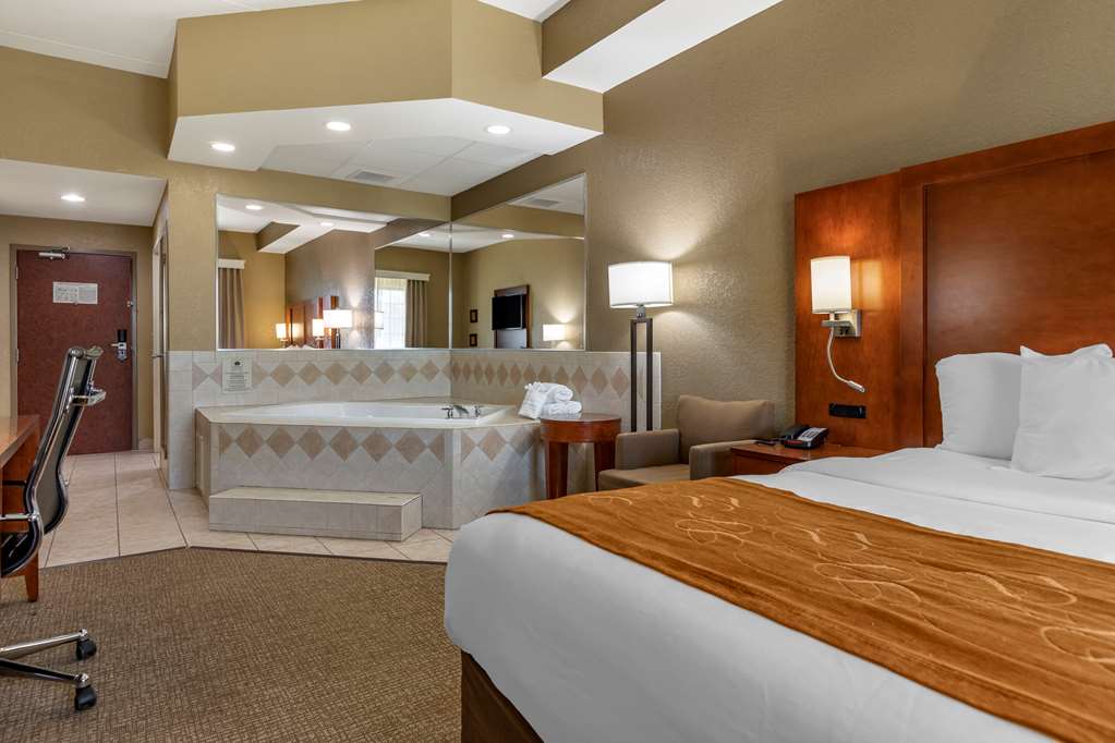 Comfort Suites Grand Rapids South - photo 15