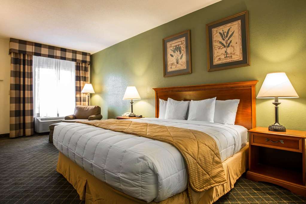 Clarion Inn & Suites Aiken South - photo 16