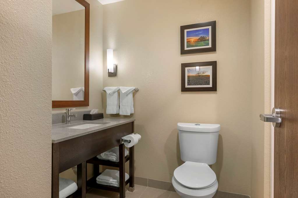 Comfort Inn & Suites Euless DFW West - photo 14