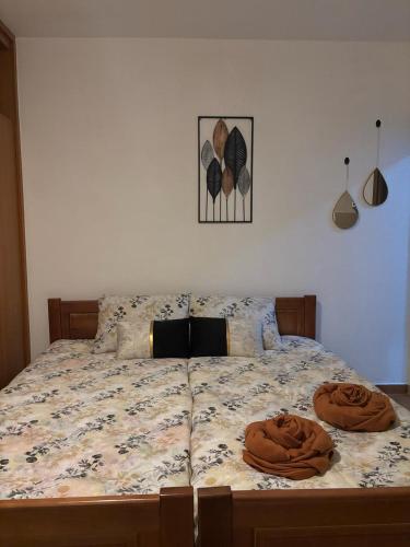 Nikolaj in Podgorica, Montenegro