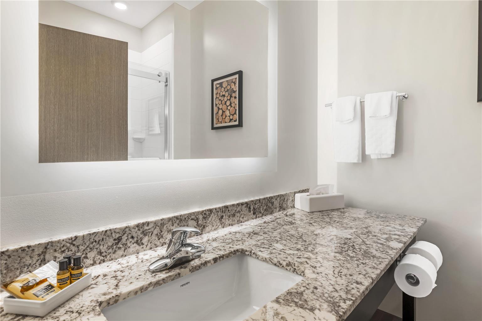 Best Western Plus Isanti - photo 41