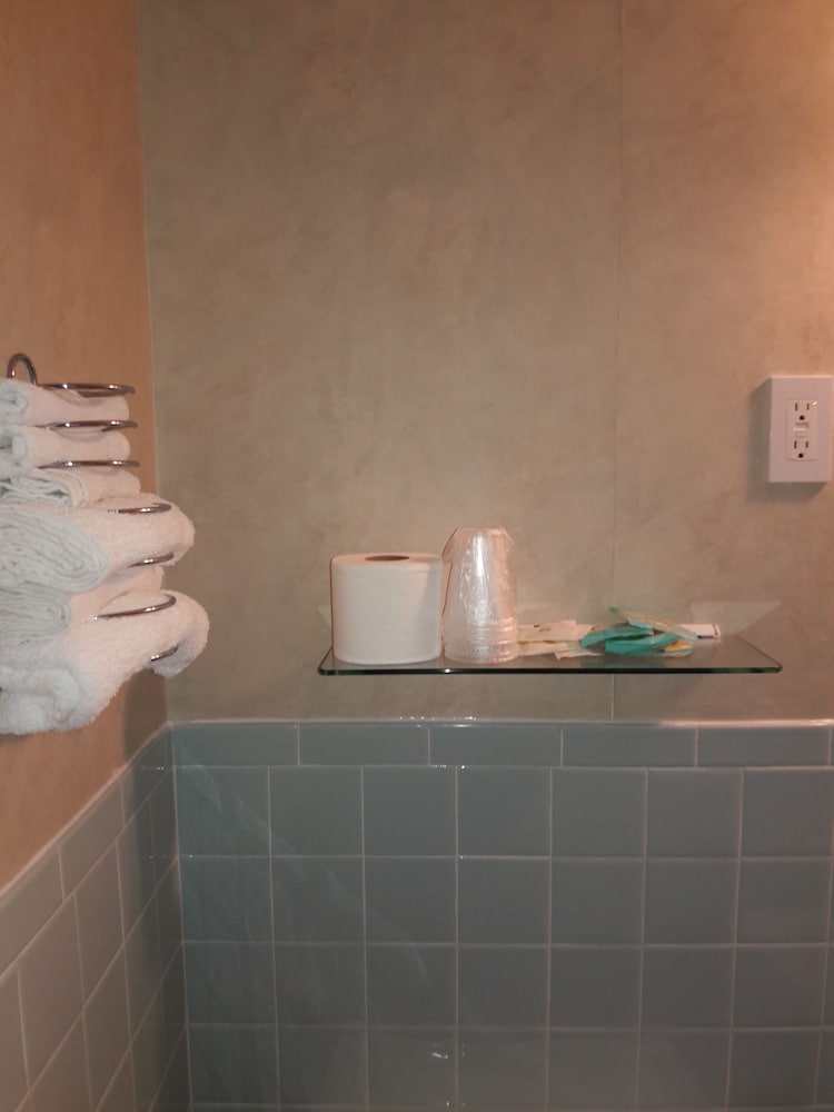 Catskill Motor Court Motel - photo 18