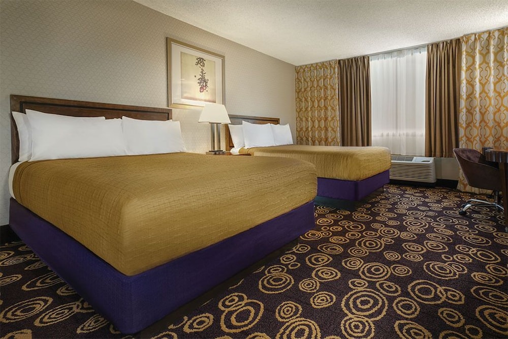 Circus Circus Hotel Casino & Theme Park - photo 37