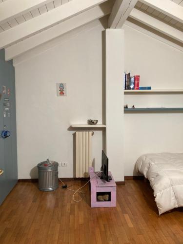 Alexis 3 in Novara, Italy