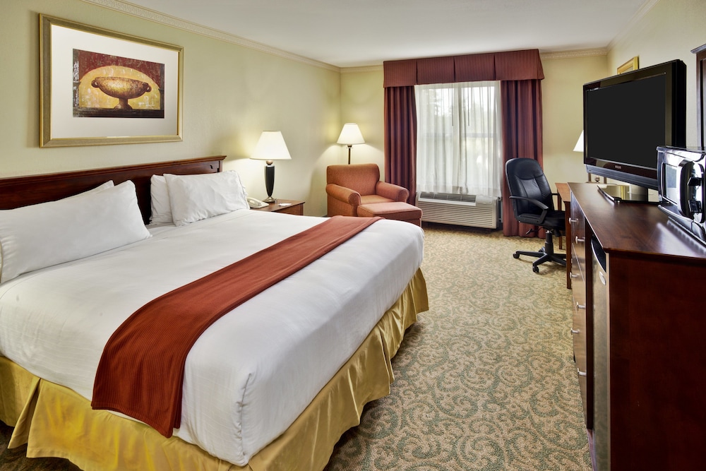 Holiday Inn Express Breaux Bridge by IHG - photo 6