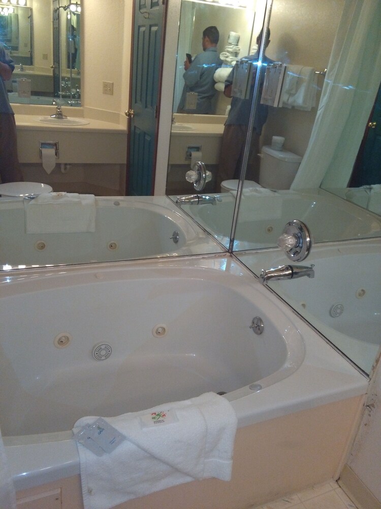 Victorian Palace - photo 22