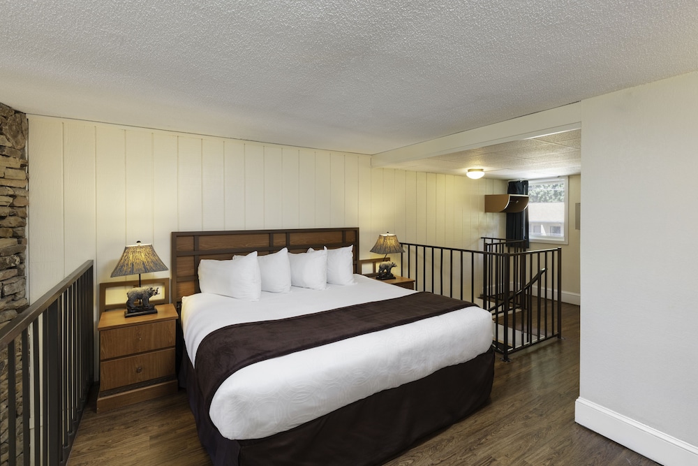 River Terrace Resort & Convention Center - photo 4