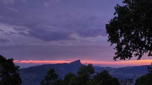 Wildberry Galaha in Kandy, Sri Lanka