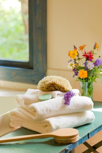 Inn & Spa at Cedar Falls - photo 17