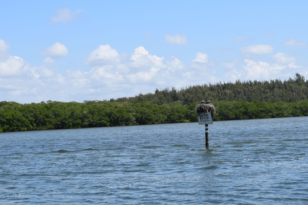Turtle Beach Resort and Inn - photo 183