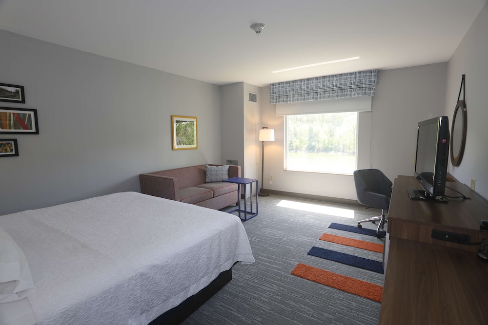 Hampton Inn Owego - photo 14