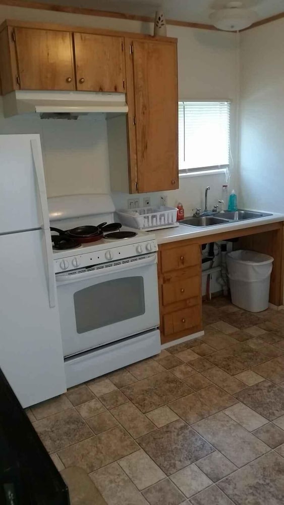 Palmetto Oasis RV Resort - photo 11