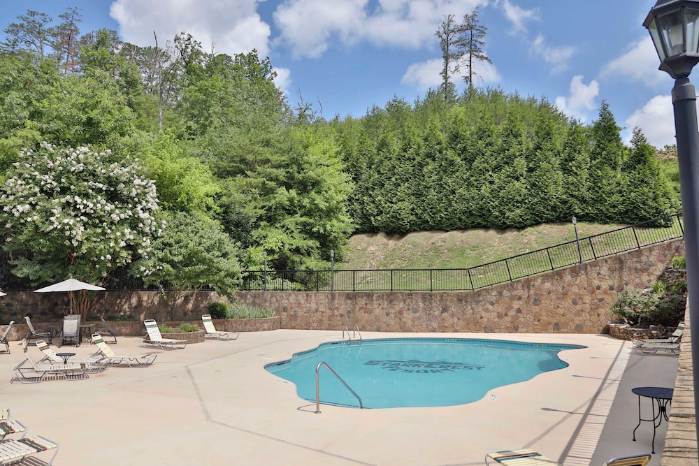 Mountain Paradise - photo 26