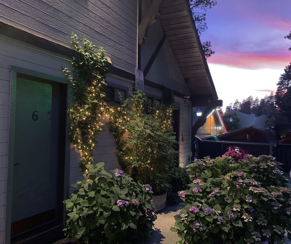 The North Shore Inn - photo 102