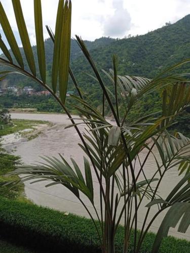 Kunal’s A Himalayan Bird in Mandi, India