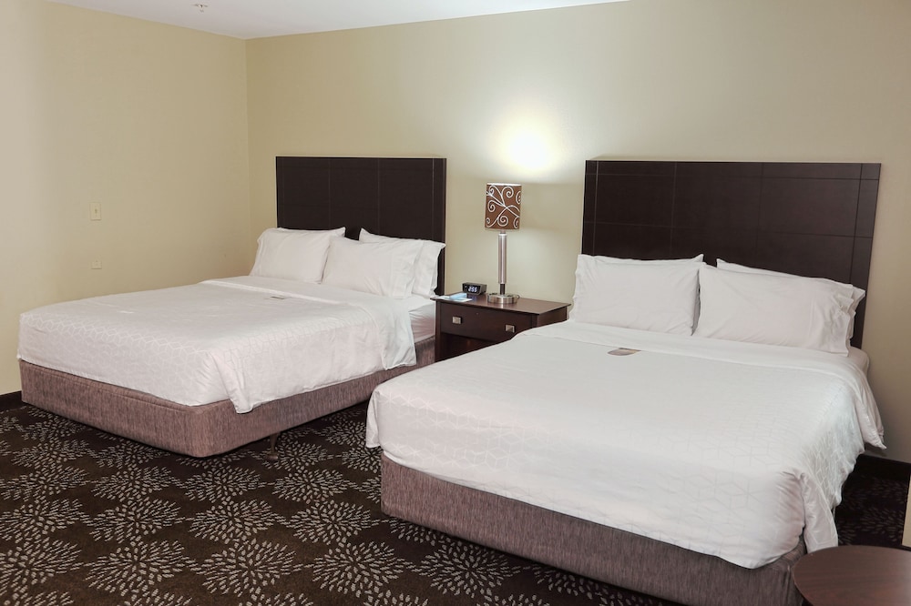 Holiday Inn Express & Suites Pittsburgh West Greentree by IHG - photo 30