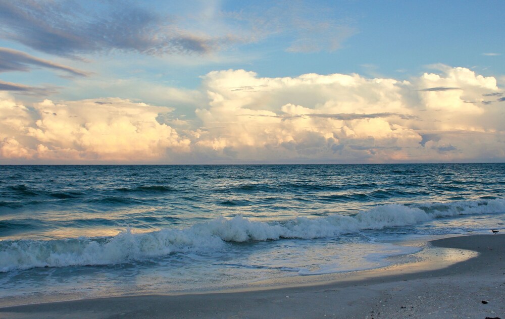 Treasure Island Vacations by TechTravel - photo 140