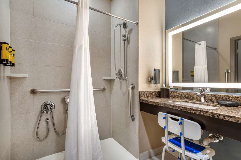 Best Western Plus Lake Jackson Inn & Suites - photo 24