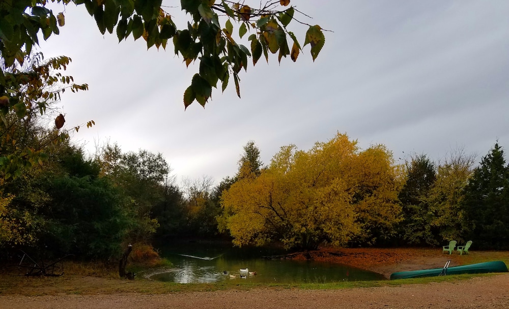 Savannah's Meadow - photo 45