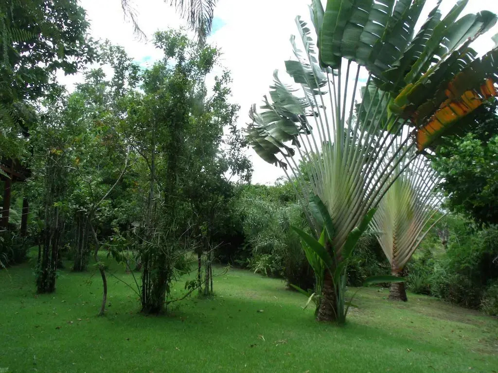 Sitio Paraíso in Porto Seguro, Brasil