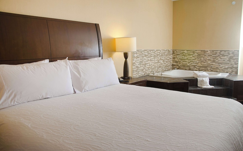 Hilton Garden Inn Watertown Thousand Islands - photo 10
