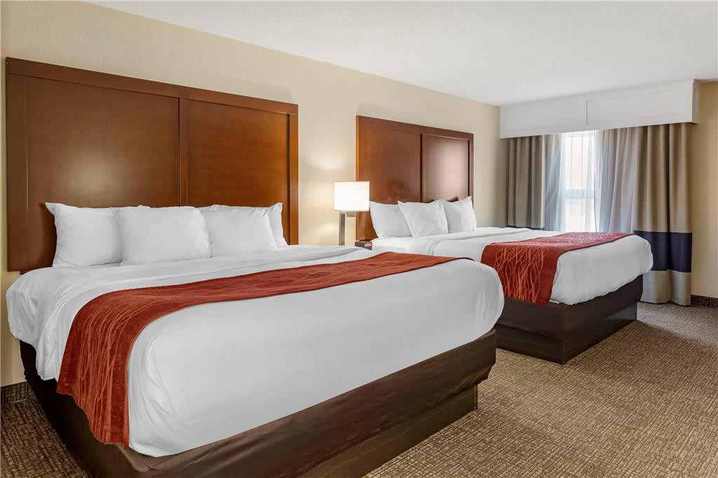 Comfort Inn & Suites Little Rock Airport - photo 7