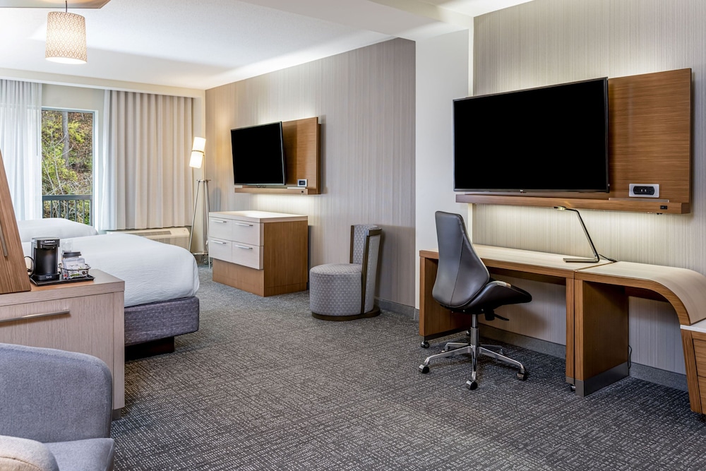 Courtyard by Marriott Asheville Biltmore Village - photo 15