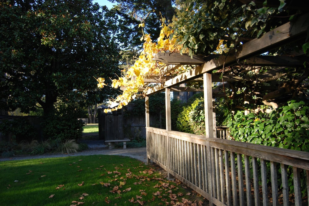 Olema House at Point Reyes - photo 59