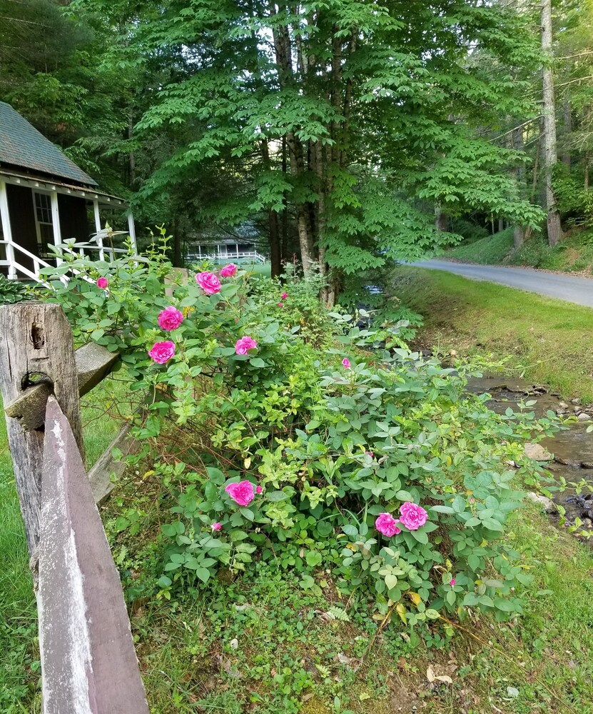 The Cabins at Healing Springs - photo 25