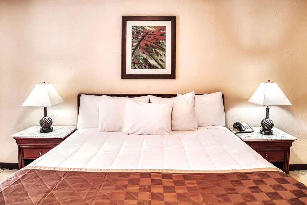 Palms Garden Inn - photo 23