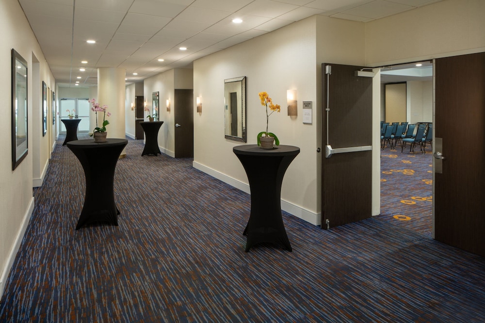 Courtyard Miami in Coral Gables by Marriott - photo 43