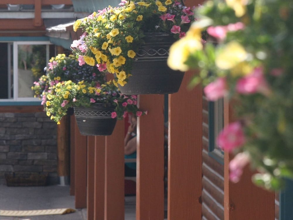 Ouray Inn - photo 44