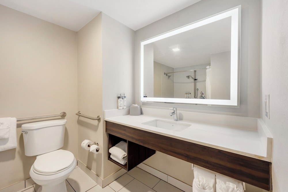 Holiday Inn Express & Suites Nashville Southeast Antioch by IHG - photo 26