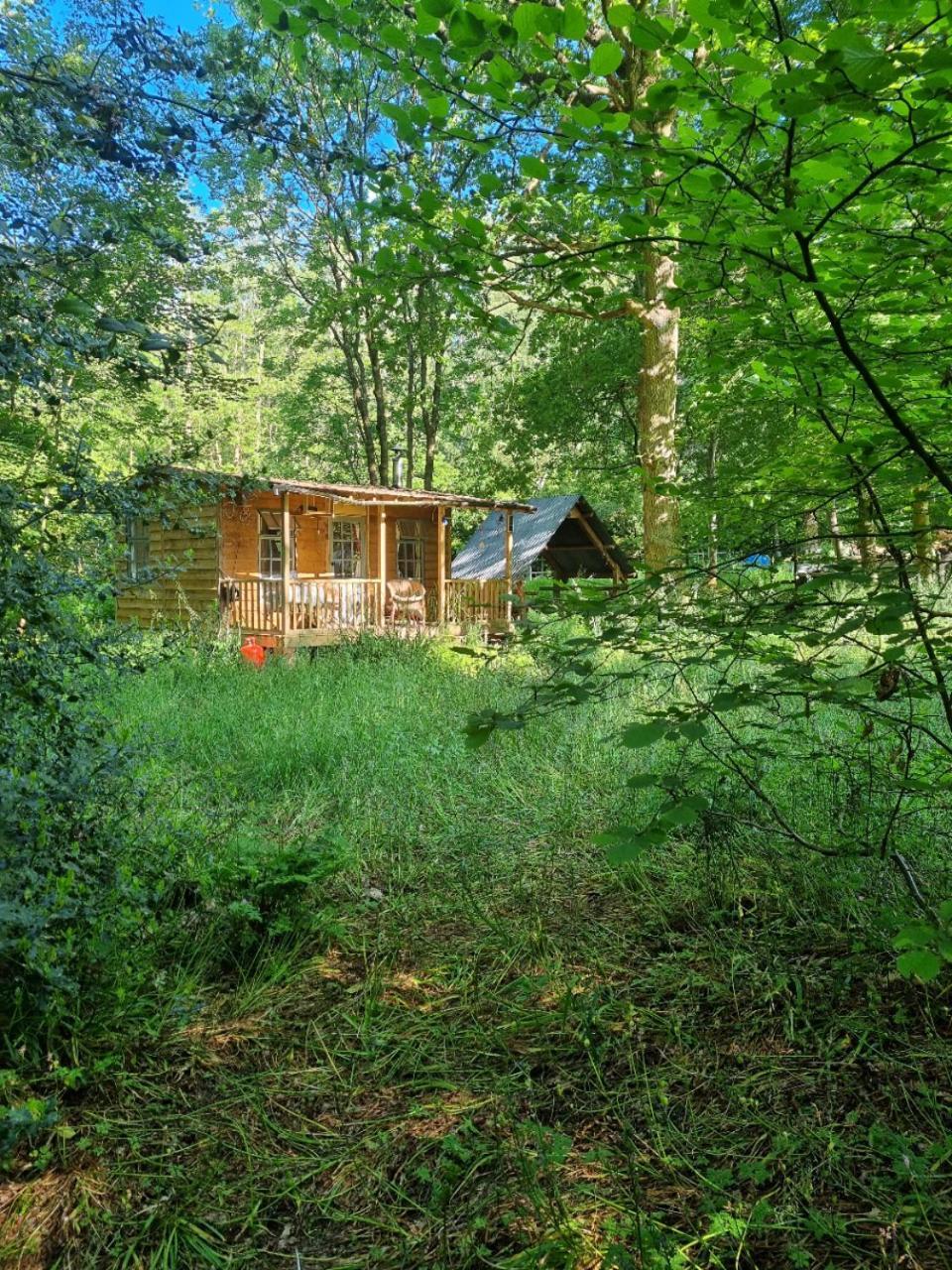 The Shack in the Woods Off Grid — hotel in Redditch