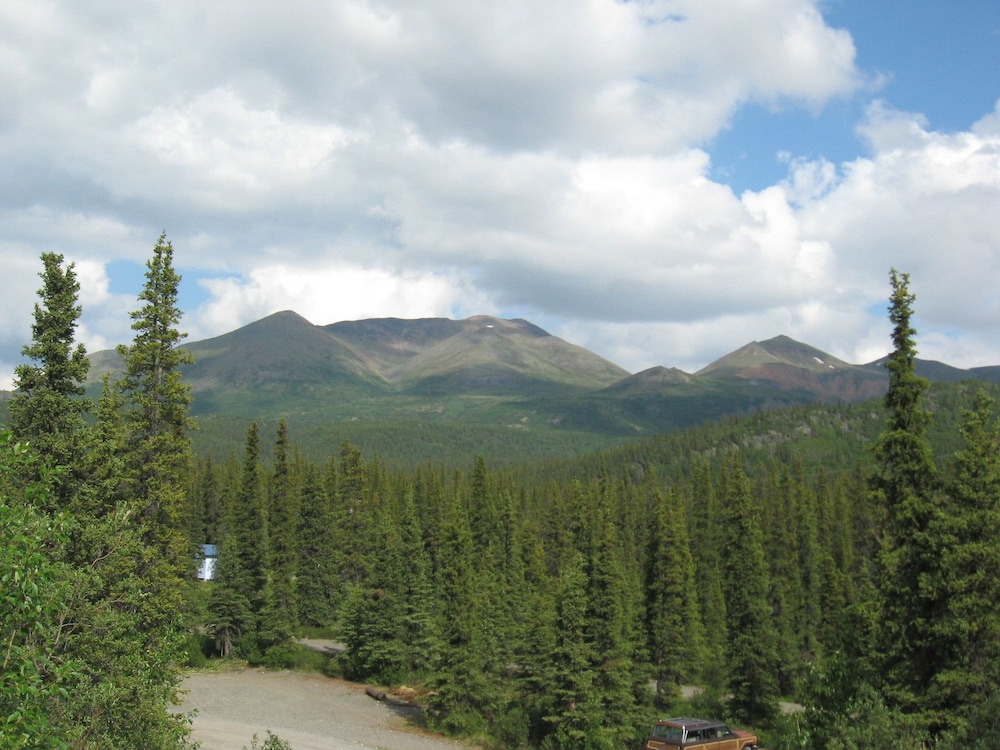 Denali Perch Resort - photo 64