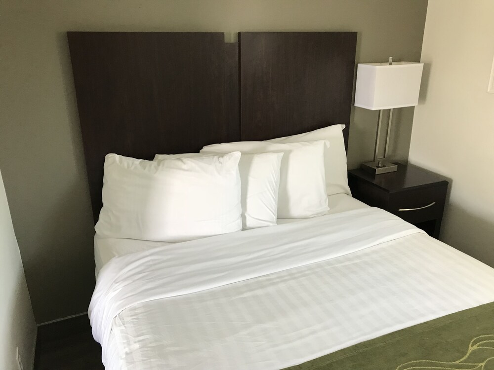 Hi View Inn & Suites - photo 7