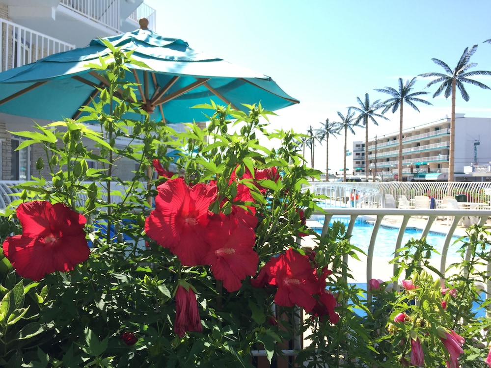 Shalimar Resort - photo 82