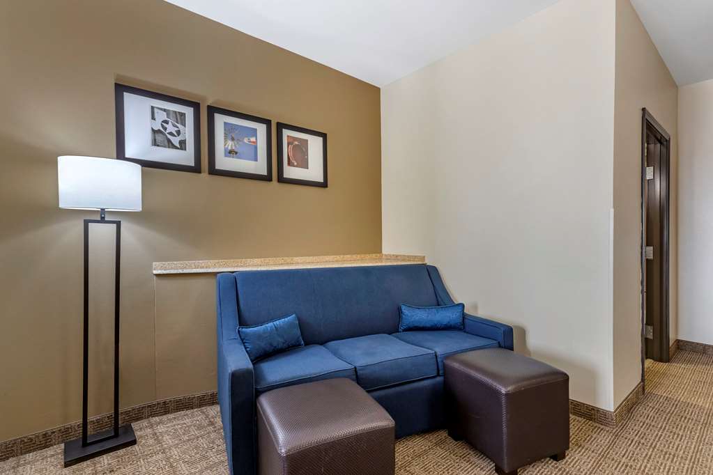 Comfort Suites Buda Austin South - photo 20
