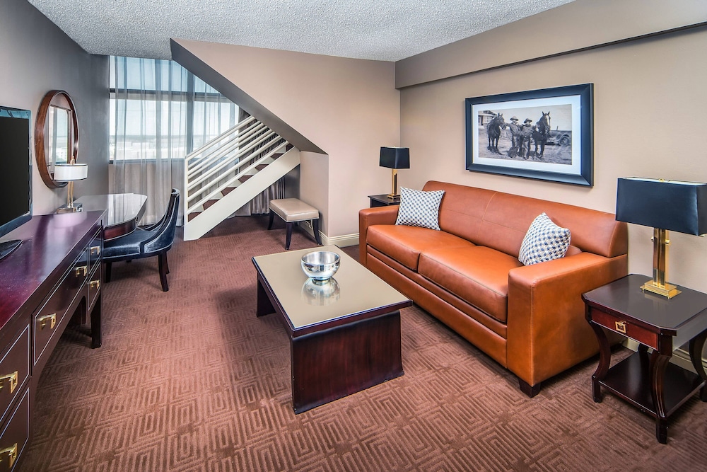 Sheraton North Houston at George Bush Intercontinental - photo 15