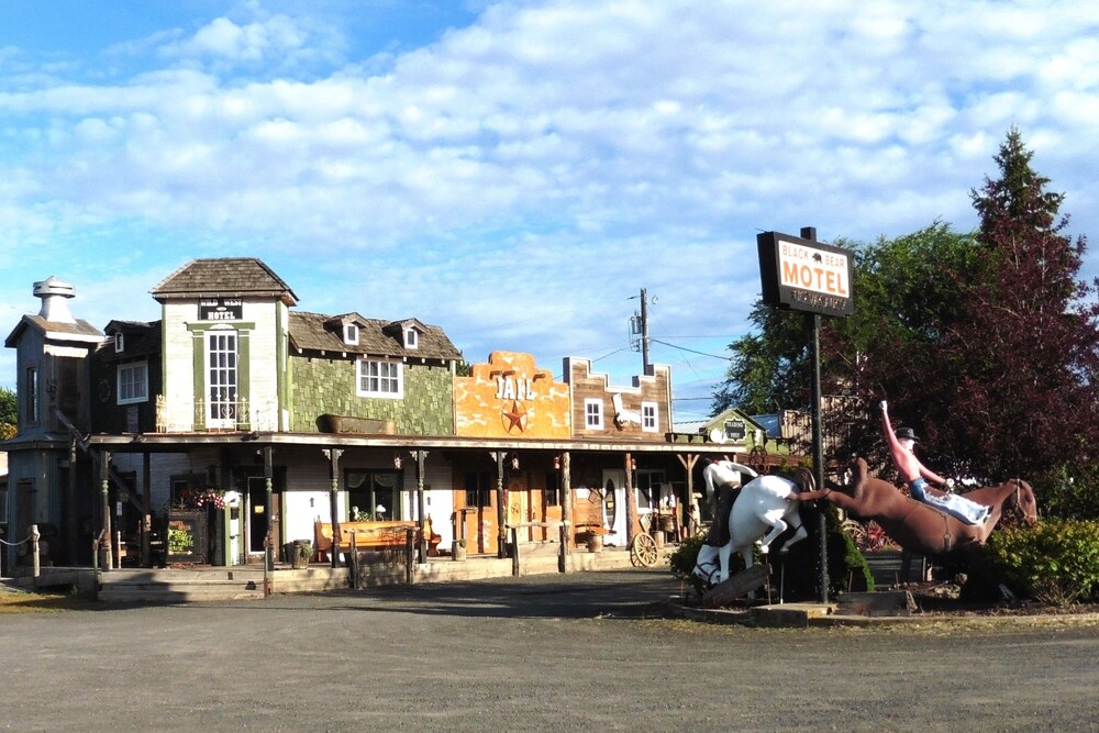 Black Bear Motel - photo 81