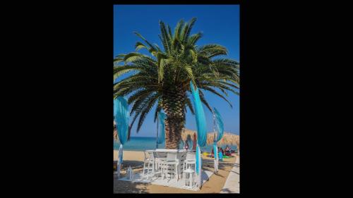Studio Napoleon - last minute hotel in Thasos