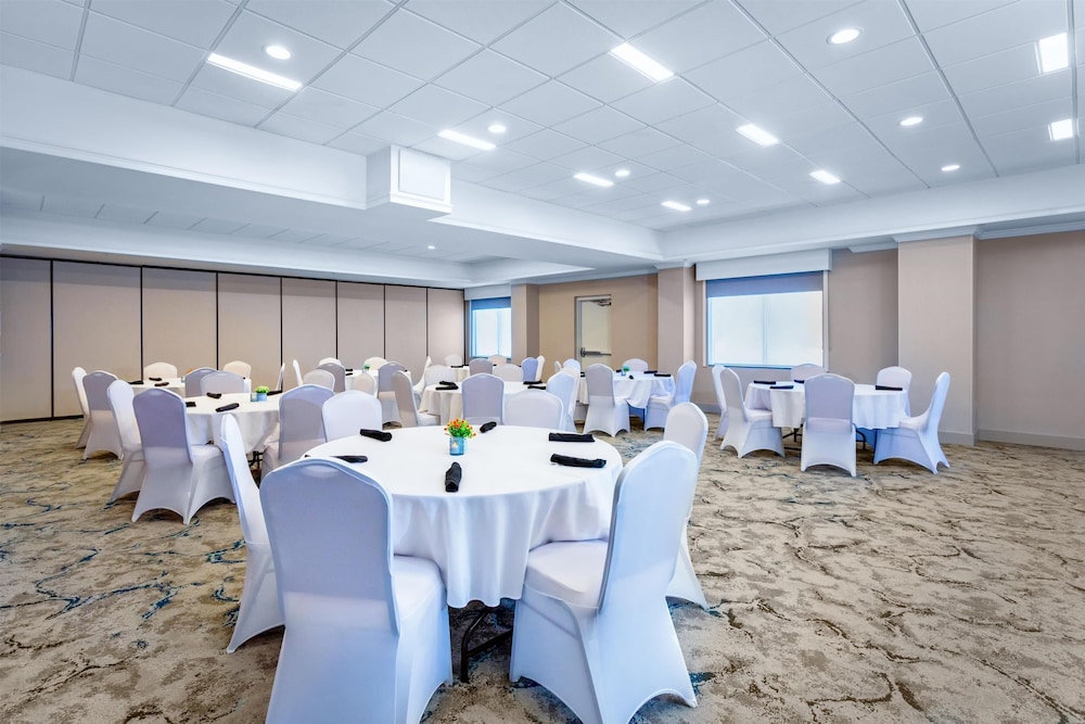Hilton Garden Inn Tampa Northwest Oldsmar - photo 32