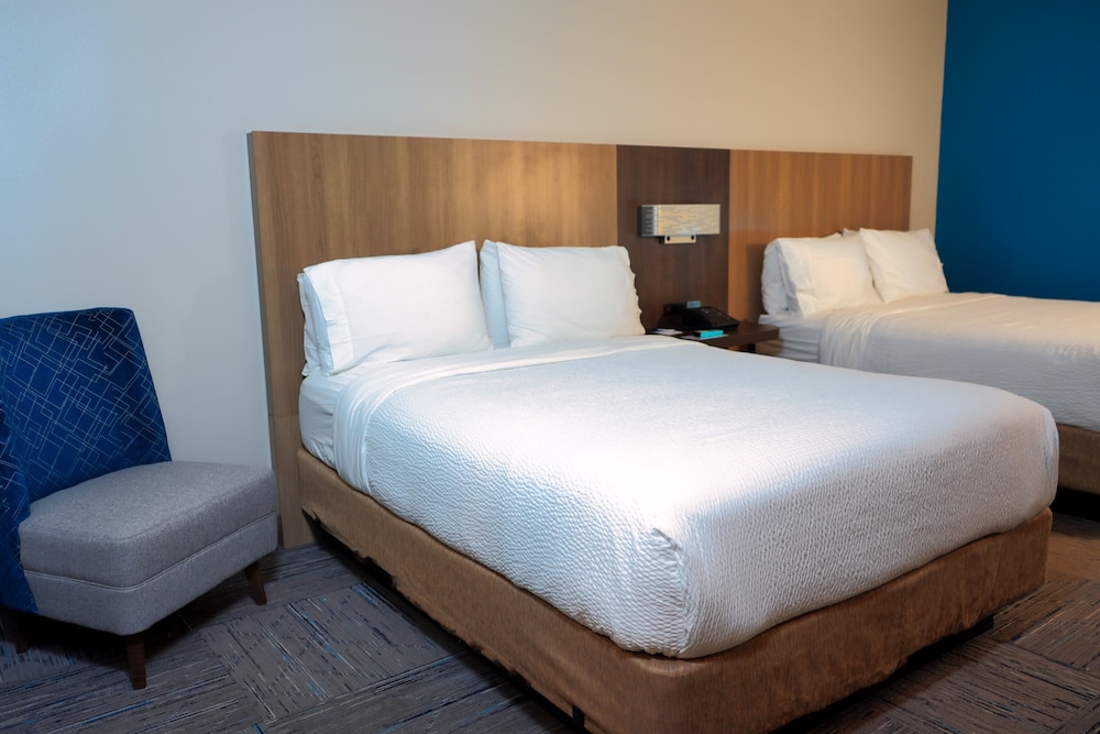 Holiday Inn Express Hotel & Suites Tampa Northwest Oldsmar by IHG - photo 8