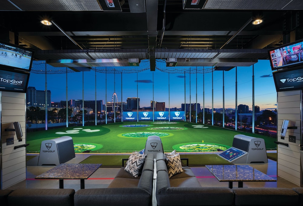 The Skylofts At Mgm Grand - photo 41