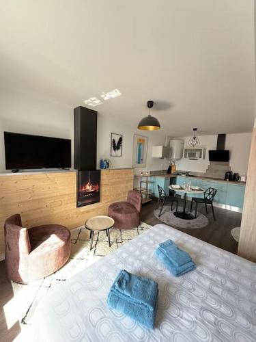 Bleuet Roanne Centre Ville Parking Clim — Roanne