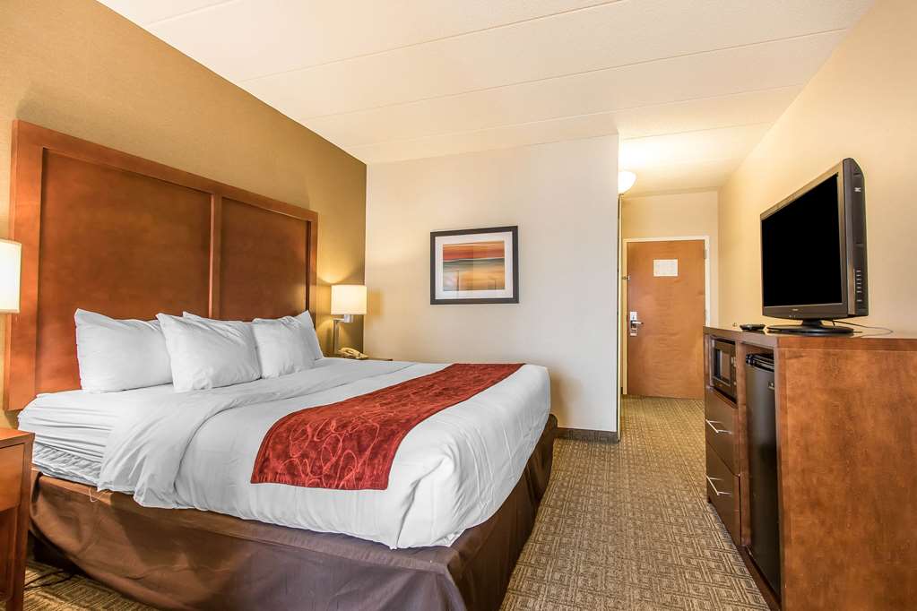 Comfort Suites Richmond - photo 14